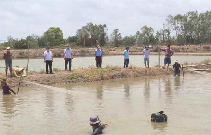 Khuyến Ngư - Phòng, chống dịch bệnh hoại tử gan tụy cấp và 
bệnh đốm trắng trên tôm nuôi (21-04-2020)